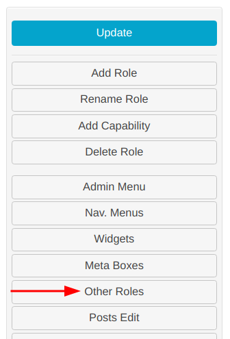 other roles access button